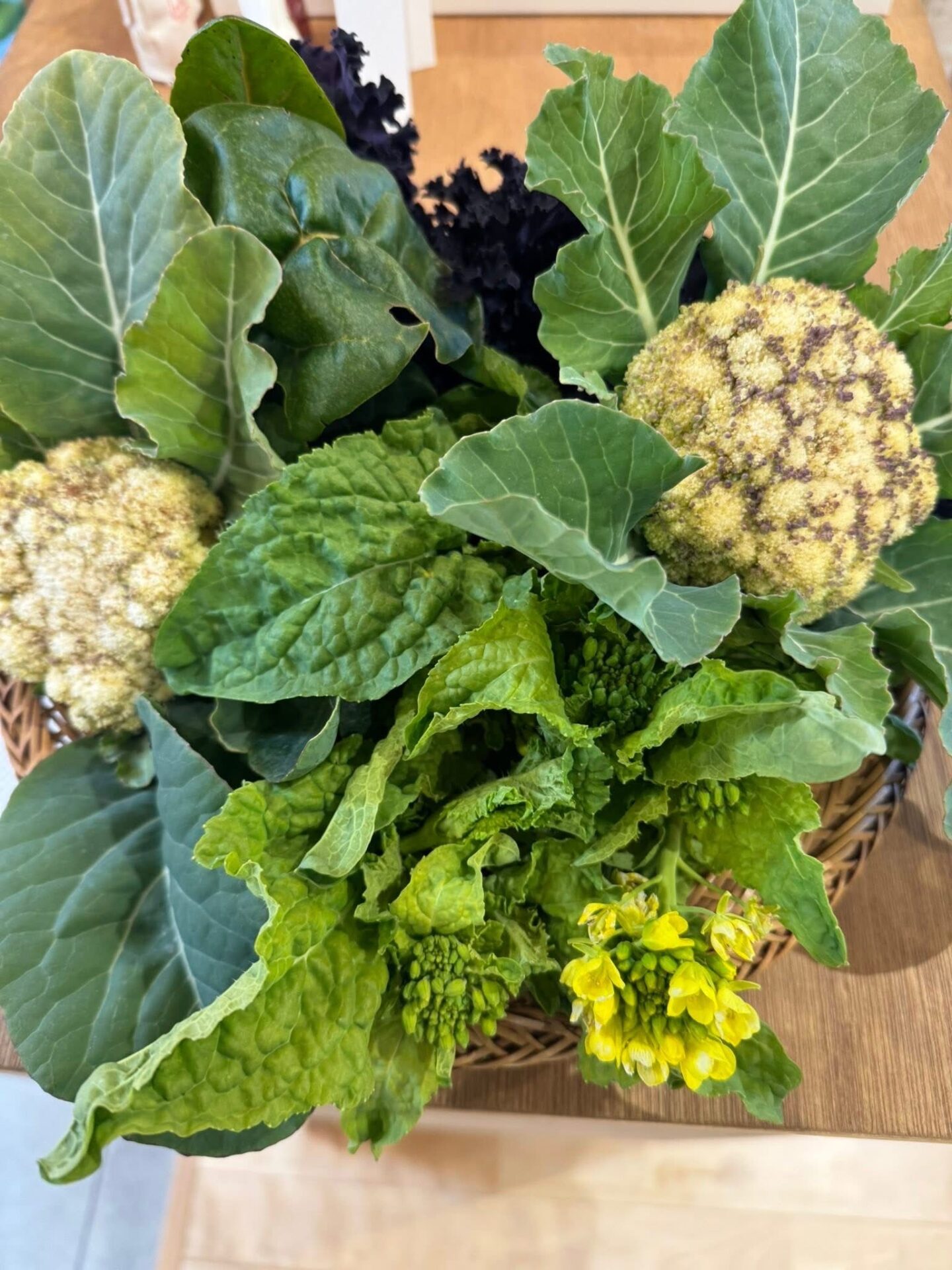 👒たがやす部　初収穫！！🥬